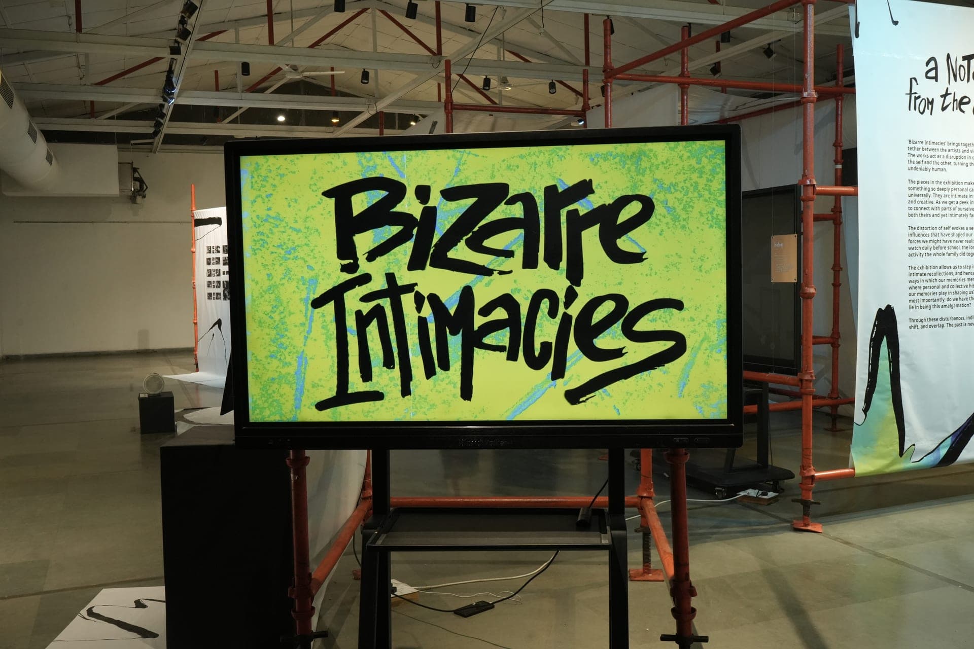 Bizarre Intimacies exhibition title wall