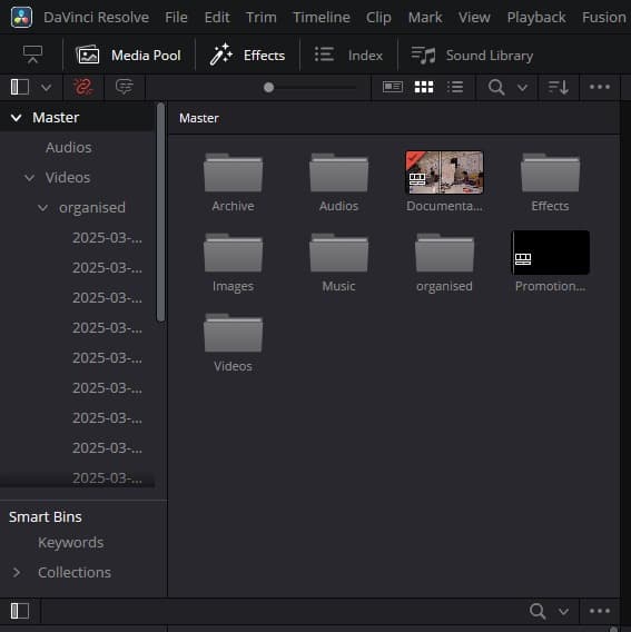 The project media library
