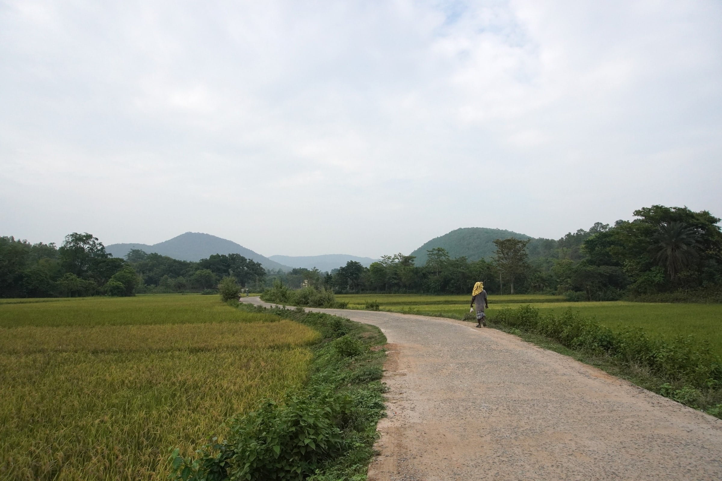 A road through fields and hills