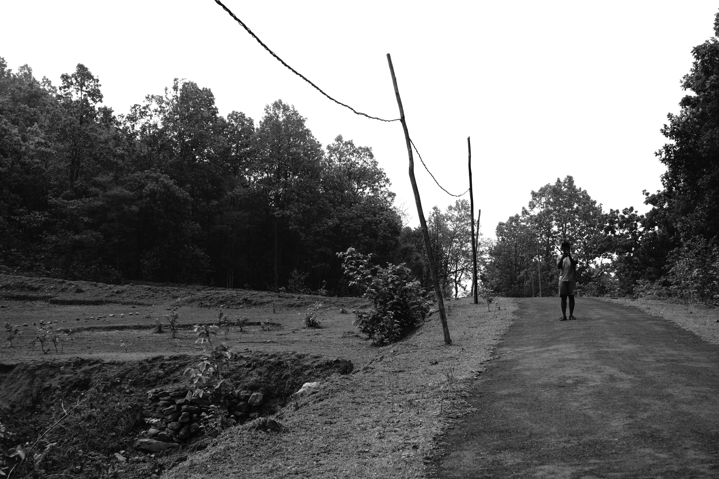 A path through the settlement