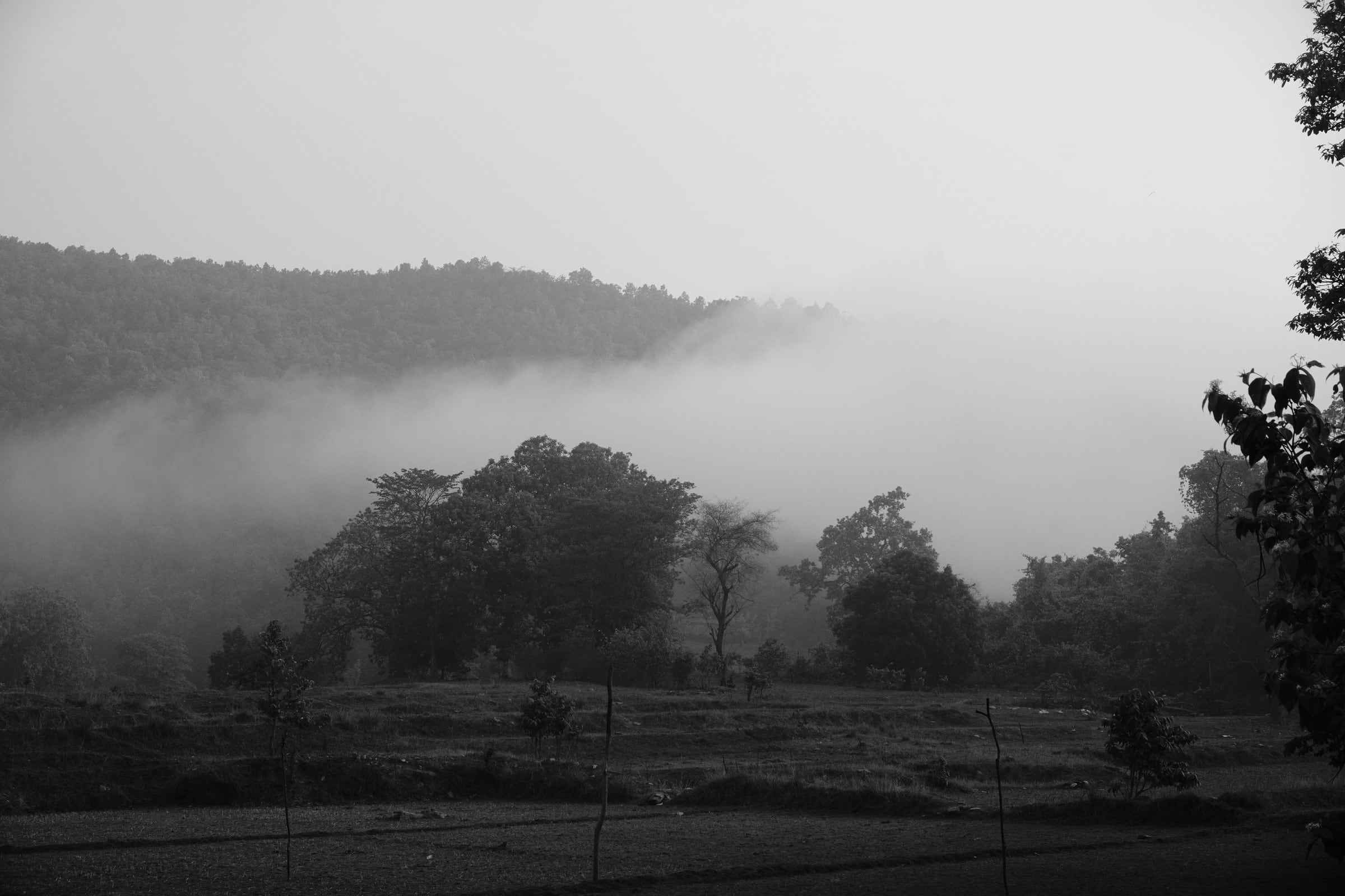 Mist over the landscape